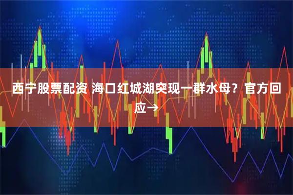 西宁股票配资 海口红城湖突现一群水母？官方回应→